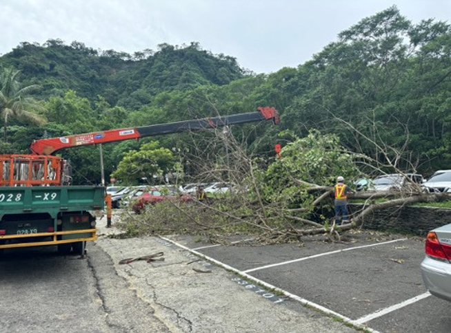吊車與工作人員移除風災倒樹
